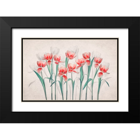 Joy of Spring Black Modern Wood Framed Art Print with Double Matting by Jacobs, Lydia