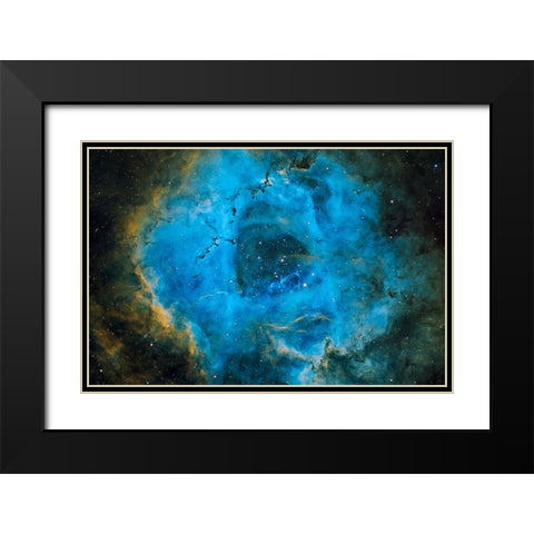 Rosette Black Modern Wood Framed Art Print with Double Matting by Chander, Vikas