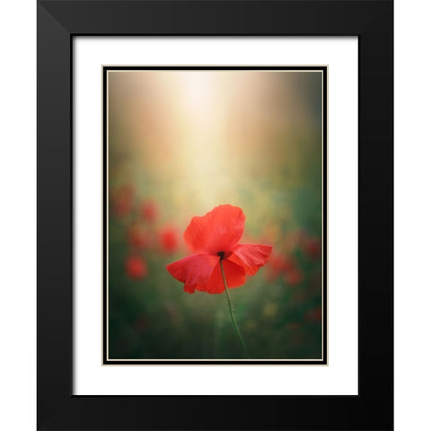 Light And Colors 3 7R41568 Black Modern Wood Framed Art Print with Double Matting by joanaduenas