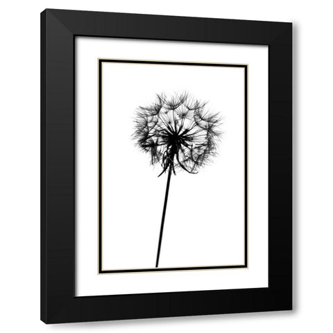 Contrasts Black Modern Wood Framed Art Print with Double Matting by Malysheva, Tatiana
