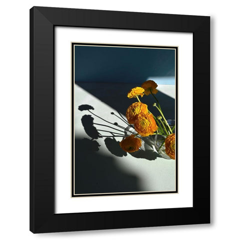 Yellow buttercups Black Modern Wood Framed Art Print with Double Matting by Basso, Donatella