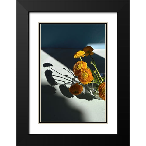 Yellow buttercups Black Modern Wood Framed Art Print with Double Matting by Basso, Donatella