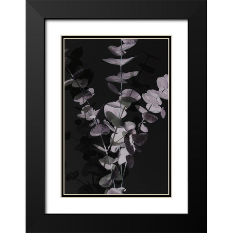 Eucalyptus_Negative_001 Black Modern Wood Framed Art Print with Double Matting by 1x Studio III