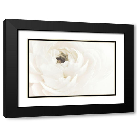 White Flower 02 Black Modern Wood Framed Art Print with Double Matting by 1x Studio III