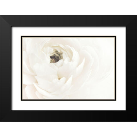 White Flower 02 Black Modern Wood Framed Art Print with Double Matting by 1x Studio III