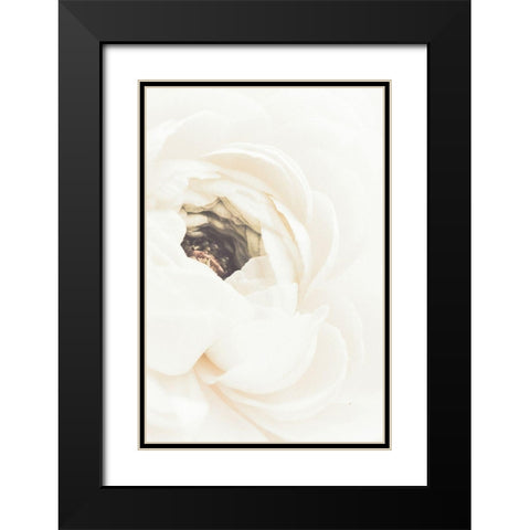 White Flower 01 Black Modern Wood Framed Art Print with Double Matting by 1x Studio III
