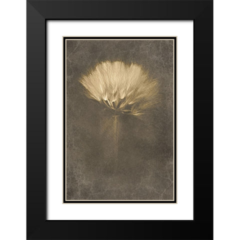 Mysterious Days Black Modern Wood Framed Art Print with Double Matting by Kiral, Cicek