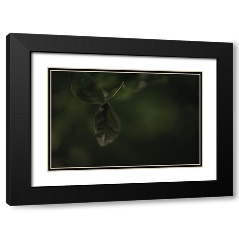 Botanical Series - Leaves 1/5 Black Modern Wood Framed Art Print with Double Matting by Elijas, Eva