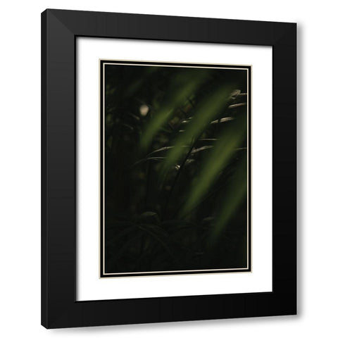 Botanical Series - Leaves 2/5 Black Modern Wood Framed Art Print with Double Matting by Elijas, Eva