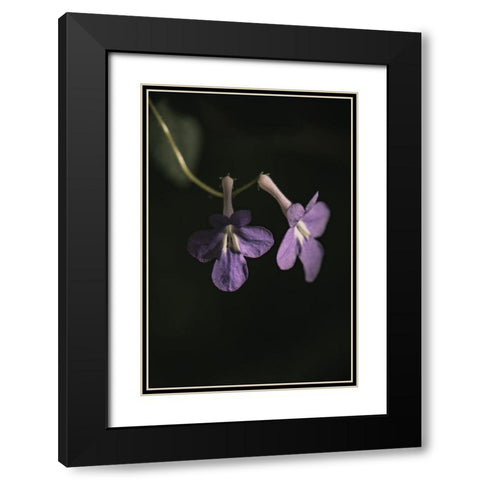 Botanical Series - Purple Flowers Black Modern Wood Framed Art Print with Double Matting by Elijas, Eva