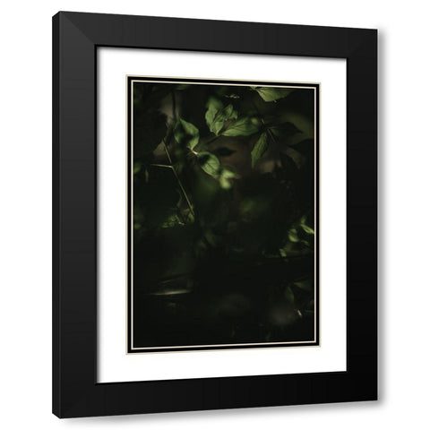 Botanical Series - Leaves 3/5 Black Modern Wood Framed Art Print with Double Matting by Elijas, Eva