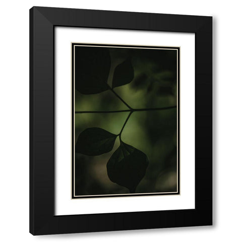 Botanical Series - Leaves 4/5 Black Modern Wood Framed Art Print with Double Matting by Elijas, Eva
