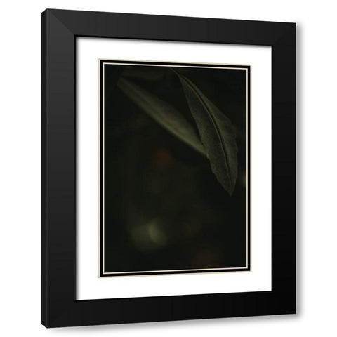 Botanical Series - Leaves 5/5 Black Modern Wood Framed Art Print with Double Matting by Elijas, Eva
