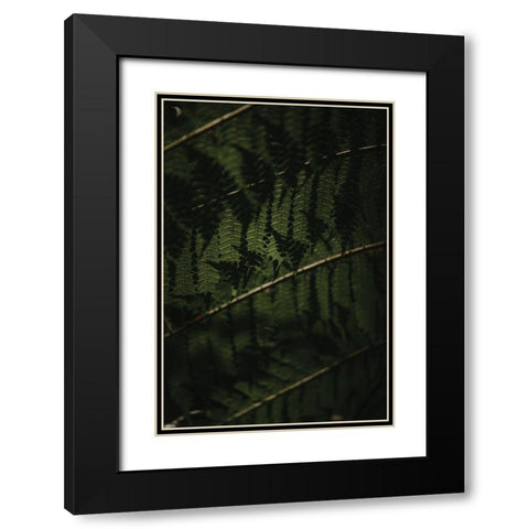 Botanical Series - Fern 2/2 Black Modern Wood Framed Art Print with Double Matting by Elijas, Eva