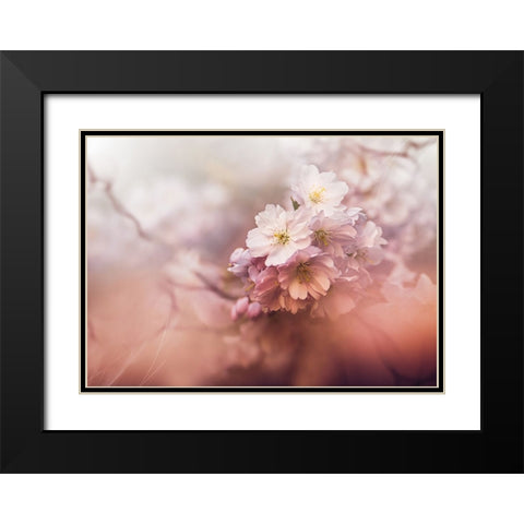Sakura Black Modern Wood Framed Art Print with Double Matting by Zvinakeviciute, Kristina