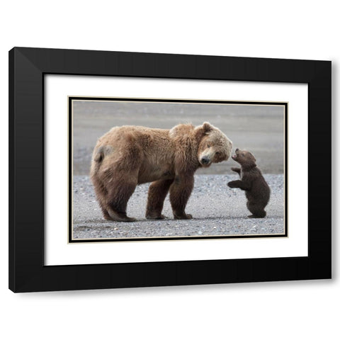 Momma Please Black Modern Wood Framed Art Print with Double Matting by D Lester, Linda
