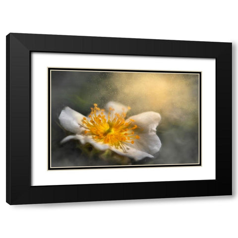 Dreaming Black Modern Wood Framed Art Print with Double Matting by Kiral, Cicek