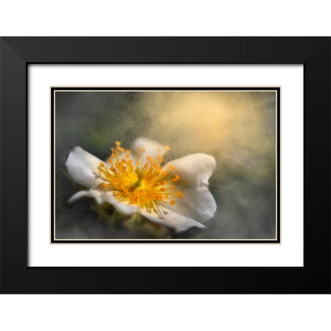 Dreaming Black Modern Wood Framed Art Print with Double Matting by Kiral, Cicek