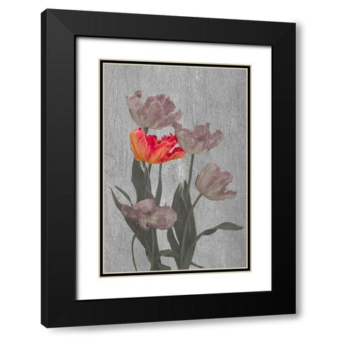 Aflame Black Modern Wood Framed Art Print with Double Matting by Urbanski, Richard