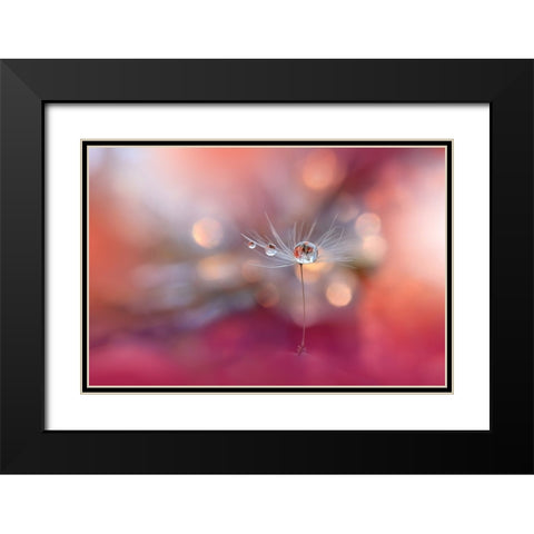 Colors Of Love.. Black Modern Wood Framed Art Print with Double Matting by Nan, Juliana