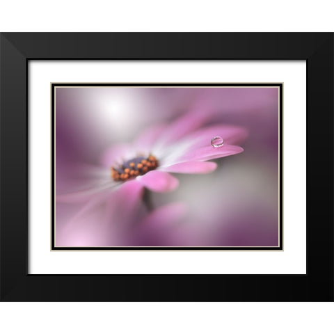 Echoes Of Hope...II Black Modern Wood Framed Art Print with Double Matting by Nan, Juliana