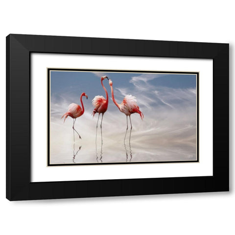 ... Black Modern Wood Framed Art Print with Double Matting by Cseresnjes, Anna