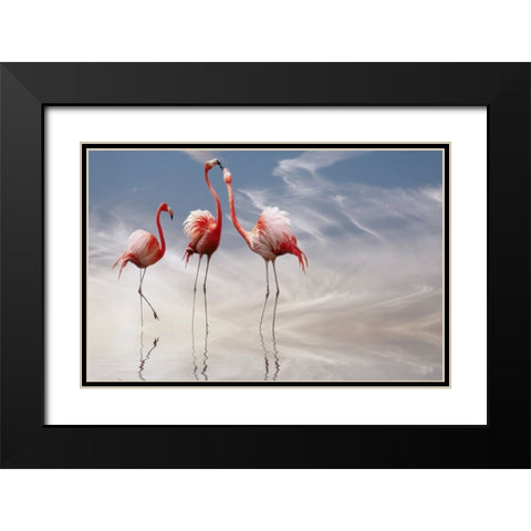 ... Black Modern Wood Framed Art Print with Double Matting by Cseresnjes, Anna