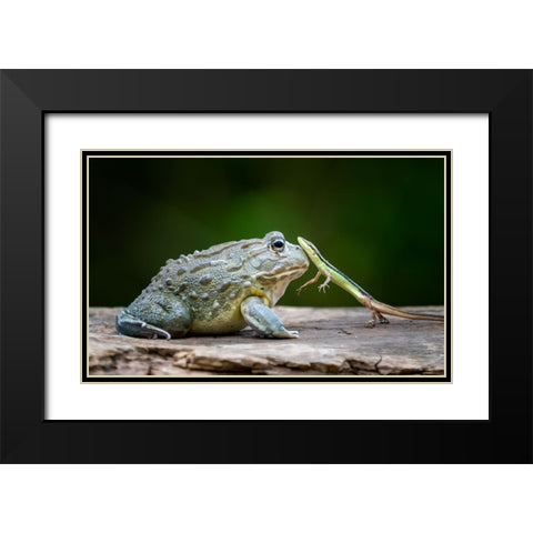 Huggy Black Modern Wood Framed Art Print with Double Matting by Suharini, Mieke