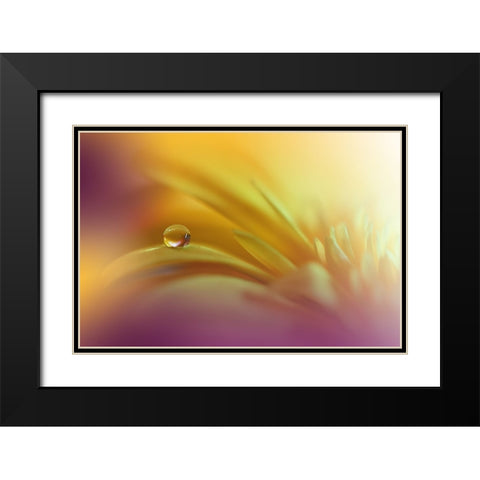 A World Of Color.. Black Modern Wood Framed Art Print with Double Matting by Nan, Juliana