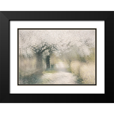Cherry blossom Black Modern Wood Framed Art Print with Double Matting by Talen, Nel
