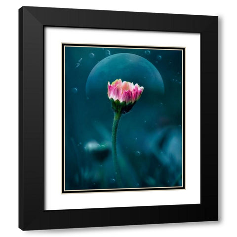 A flowers dream Black Modern Wood Framed Art Print with Double Matting by Stefanel, Nicolae