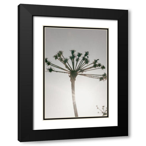Beach flowers_002 Black Modern Wood Framed Art Print with Double Matting by 1x Studio III
