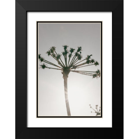 Beach flowers_002 Black Modern Wood Framed Art Print with Double Matting by 1x Studio III