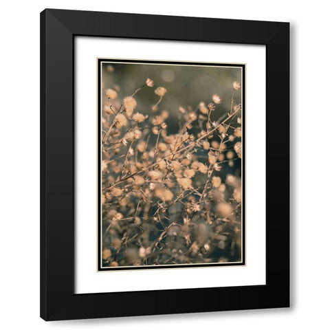 Beach flowers_003 Black Modern Wood Framed Art Print with Double Matting by 1x Studio III