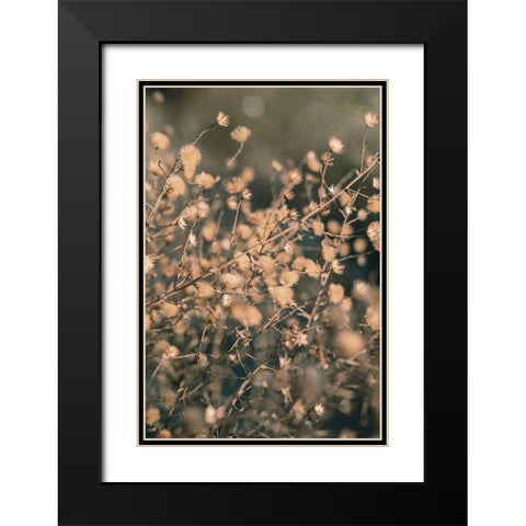 Beach flowers_003 Black Modern Wood Framed Art Print with Double Matting by 1x Studio III