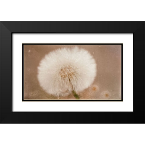 Softie Black Modern Wood Framed Art Print with Double Matting by Stas, Marie-Anne
