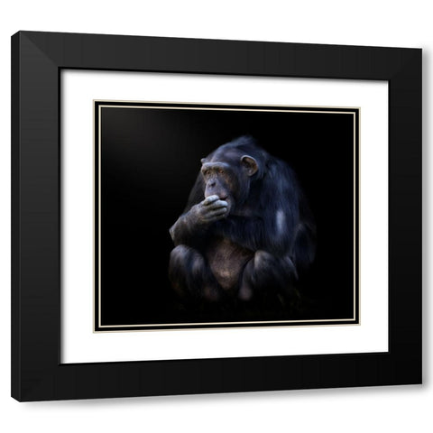 chimpanzee Black Modern Wood Framed Art Print with Double Matting by Garcia, Helena