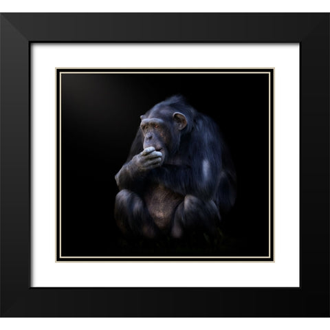 chimpanzee Black Modern Wood Framed Art Print with Double Matting by Garcia, Helena
