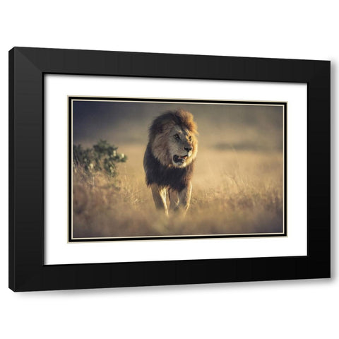 The King Black Modern Wood Framed Art Print with Double Matting by Sobhi, Ahmed