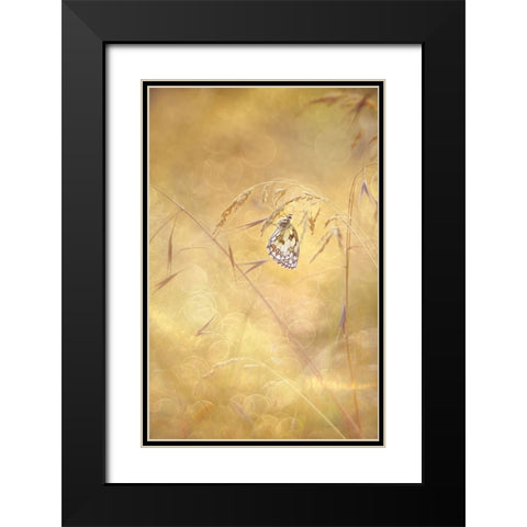 Sprinkle Black Modern Wood Framed Art Print with Double Matting by Van Helden, Elisabeth