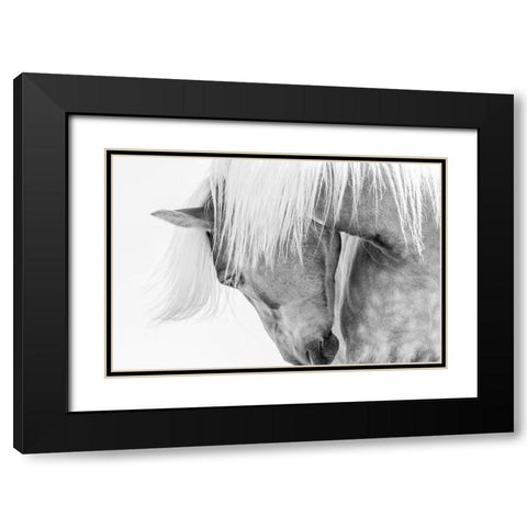 Halflinger Portrait Black Modern Wood Framed Art Print with Double Matting by Kimberly