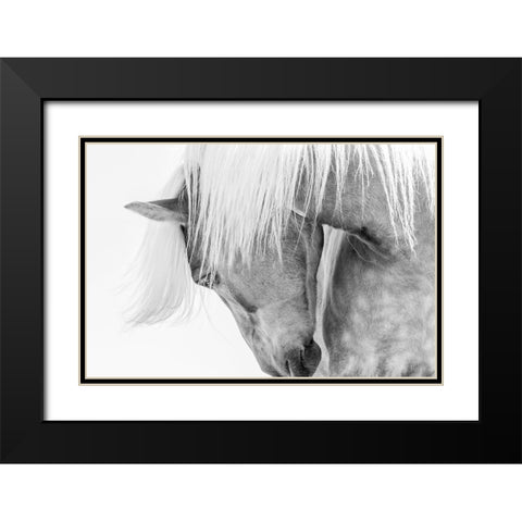 Halflinger Portrait Black Modern Wood Framed Art Print with Double Matting by Kimberly