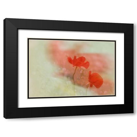 Poppy 2 Black Modern Wood Framed Art Print with Double Matting by Stas, Marie-Anne