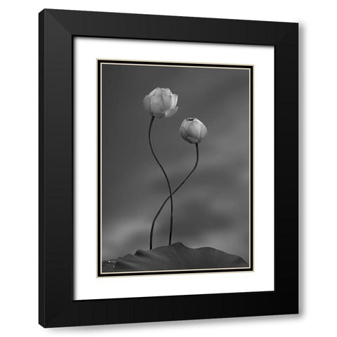 Lotus Black Modern Wood Framed Art Print with Double Matting by Wei, Taiga
