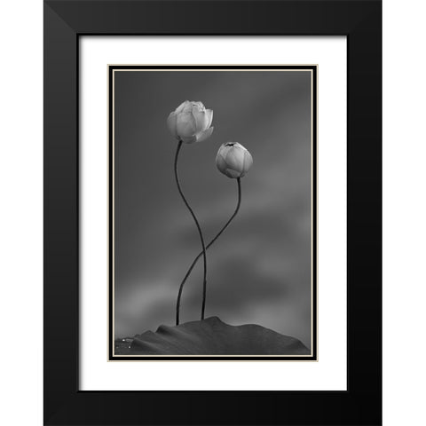Lotus Black Modern Wood Framed Art Print with Double Matting by Wei, Taiga
