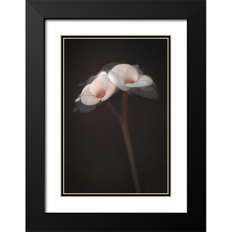 Illusions Black Modern Wood Framed Art Print with Double Matting by Kiral, Cicek