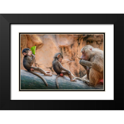 Lesson in the Wild Black Modern Wood Framed Art Print with Double Matting by Ng, Joseph