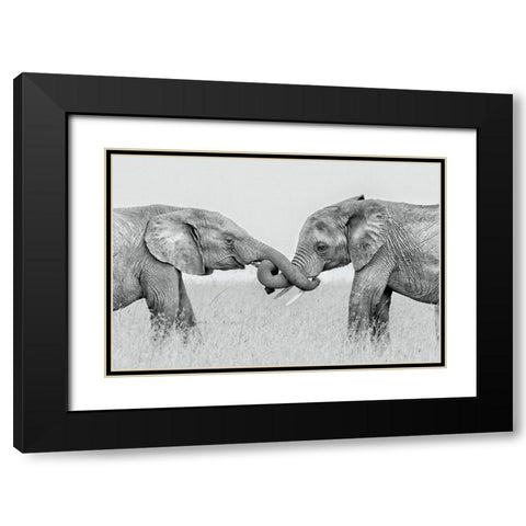 Confrontation Black Modern Wood Framed Art Print with Double Matting by Zuo, Jun