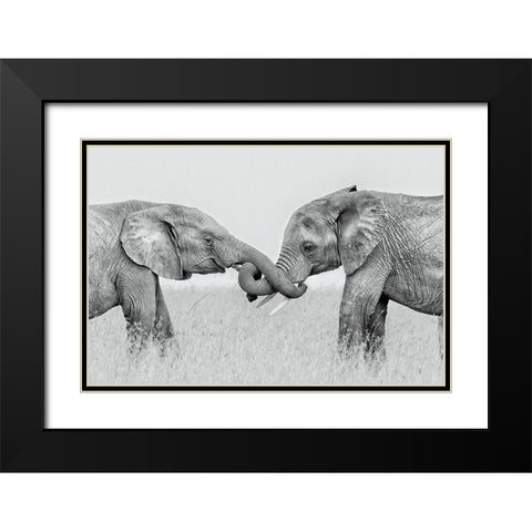 Confrontation Black Modern Wood Framed Art Print with Double Matting by Zuo, Jun