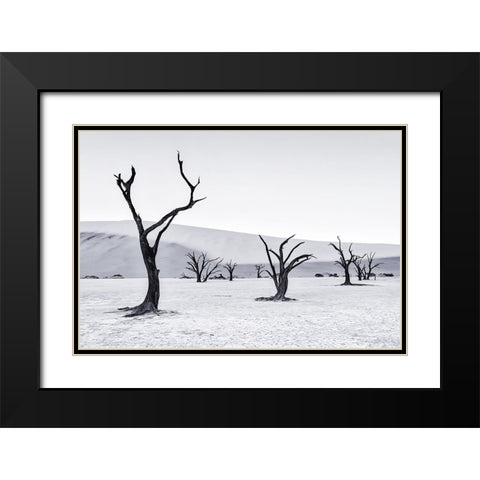 Deadvlei Black Modern Wood Framed Art Print with Double Matting by Zheng, Michael